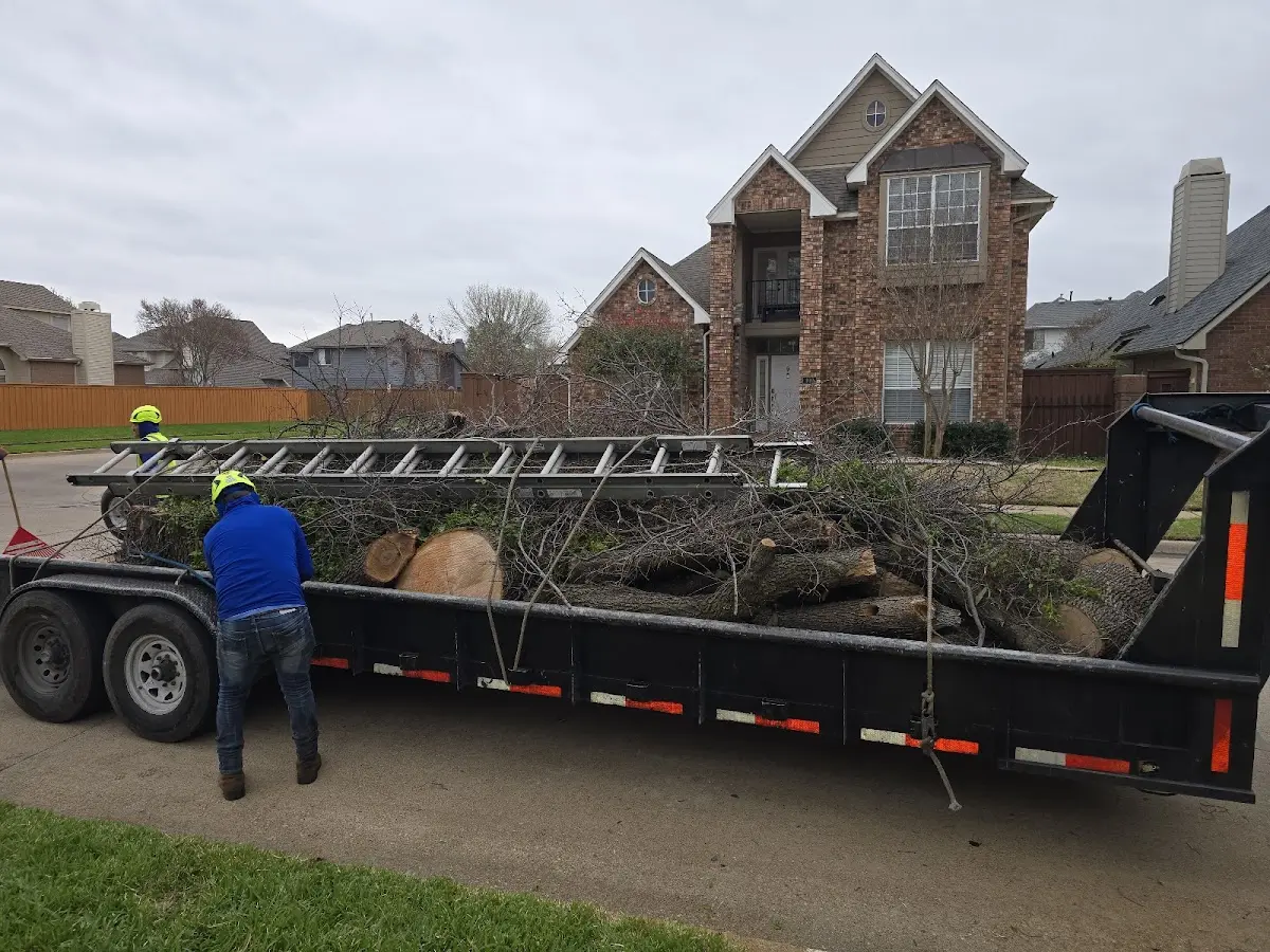 Expert Tree Fertilization with proper safety equipment in Thurman